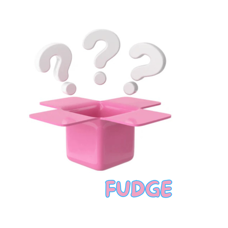 Mystery Bag of Fudge