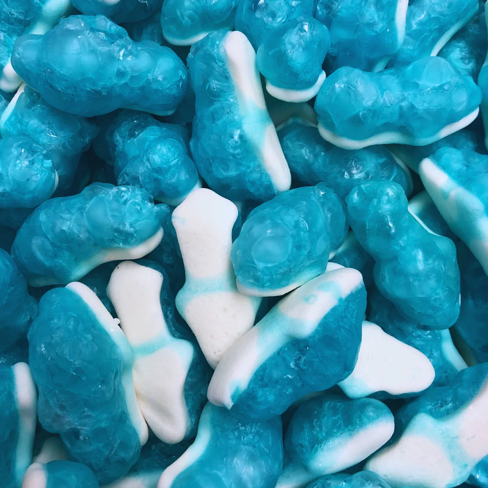 Freeze Dried Blue Sharks