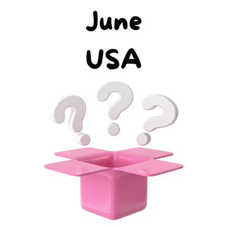 Monthly Themed Surprise Subscription Box (June- USA, July- 90's Nostalgia)