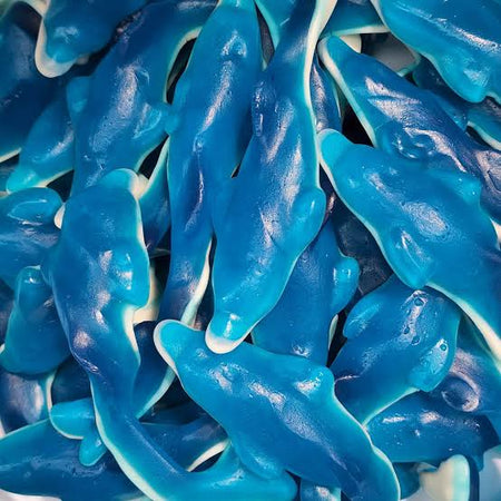 Kingsway Giant Dolphins 100g