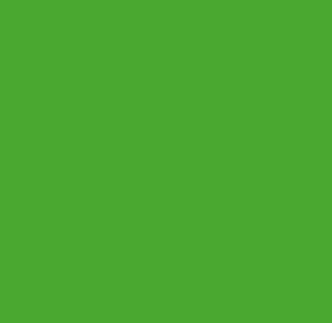 Mystery COLOUR Lolly Bag 500g Green